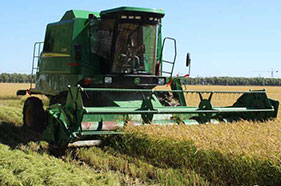 VɽC(j)е̙C(j)еS